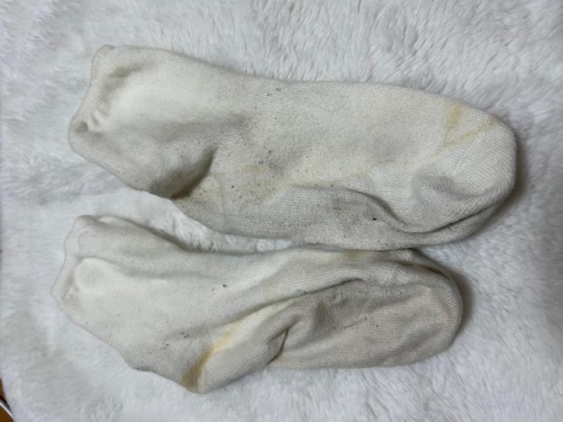 出品者名-写真-1