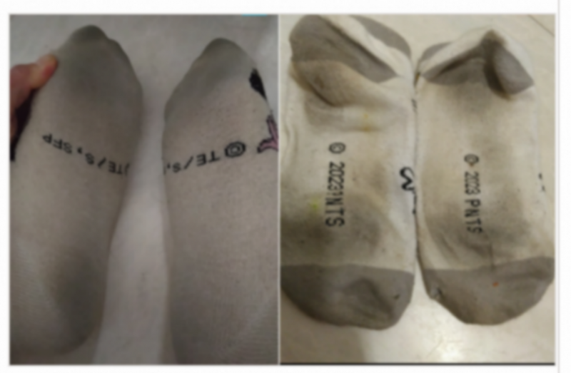 出品者名-写真-1